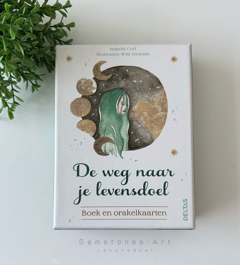 Boeken en kaarten