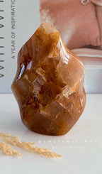 Golden Healer - 475 gram - lengte 11 cm image 0