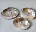 Parelmoer schelp A-kwaliteit image 0
