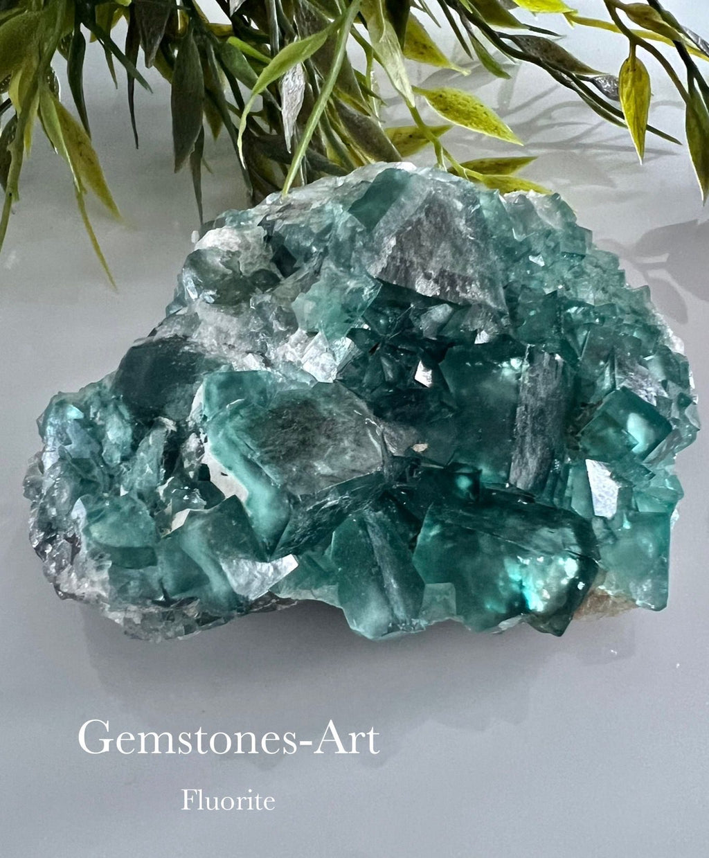 Groene Fluoriet kubus cluster (madagaskar) image 0