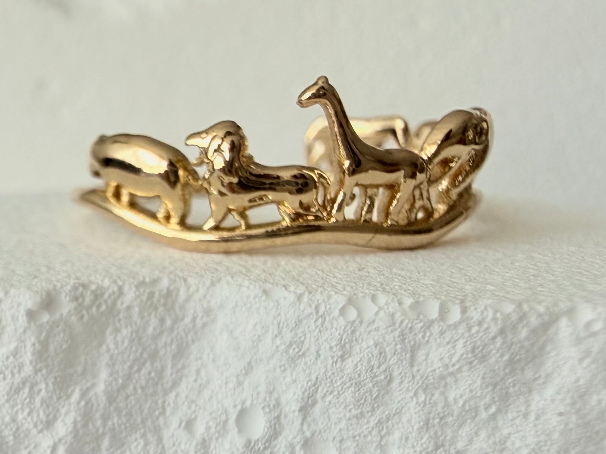 Dames ring Afrika