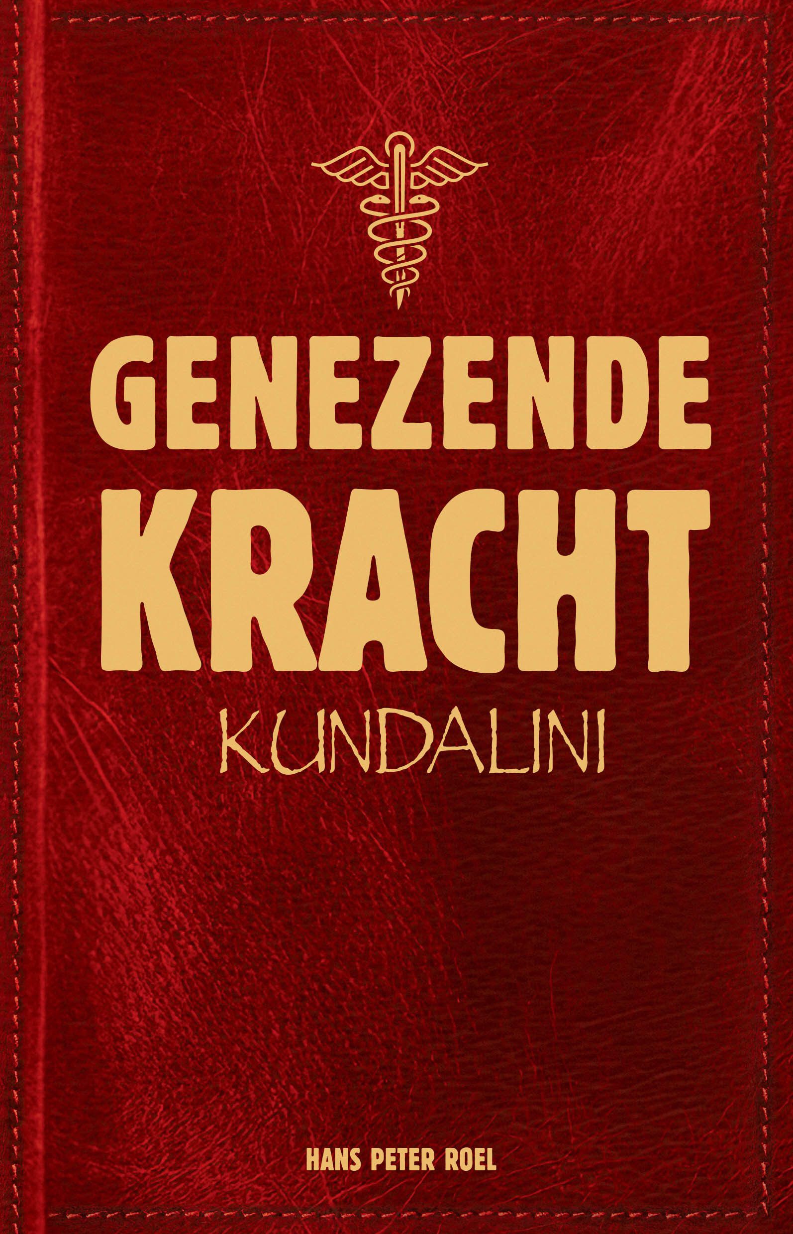 Genezende kracht Kundalini - Hans Peter Roel image 1