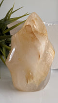 Lemurian ( Golden healer) vlam image 0