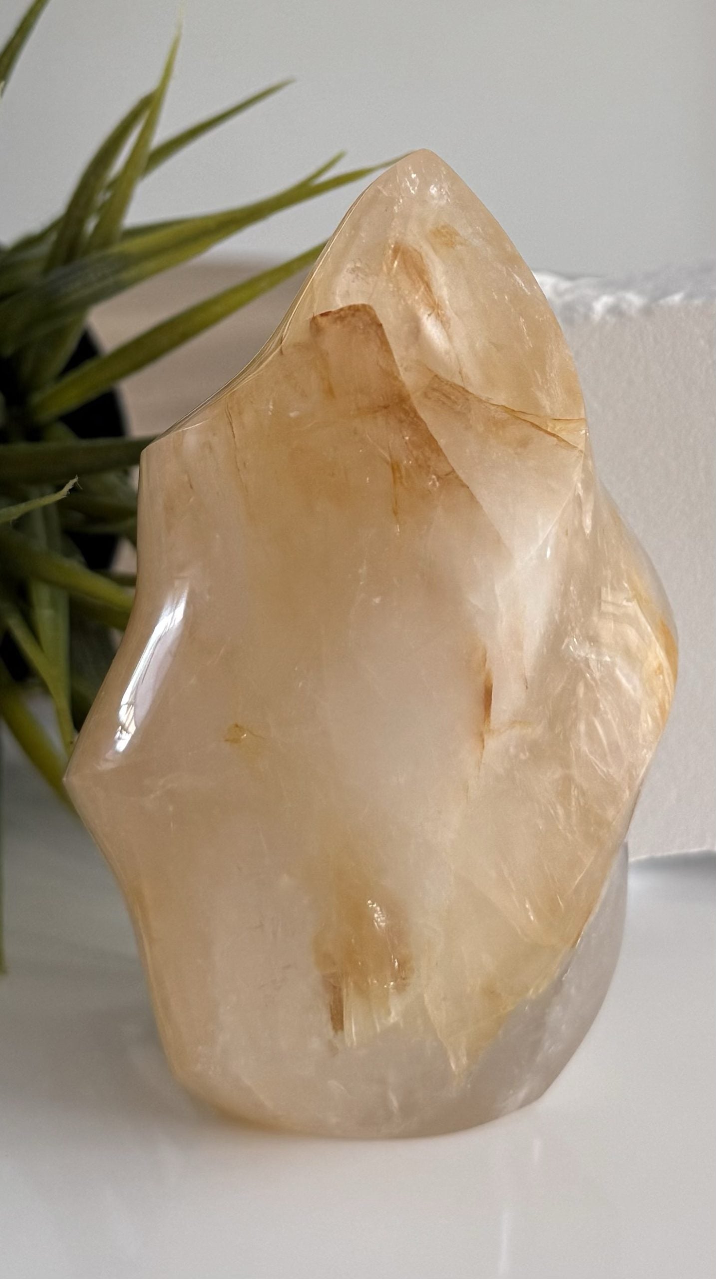 Lemurian ( Golden healer) vlam image 0