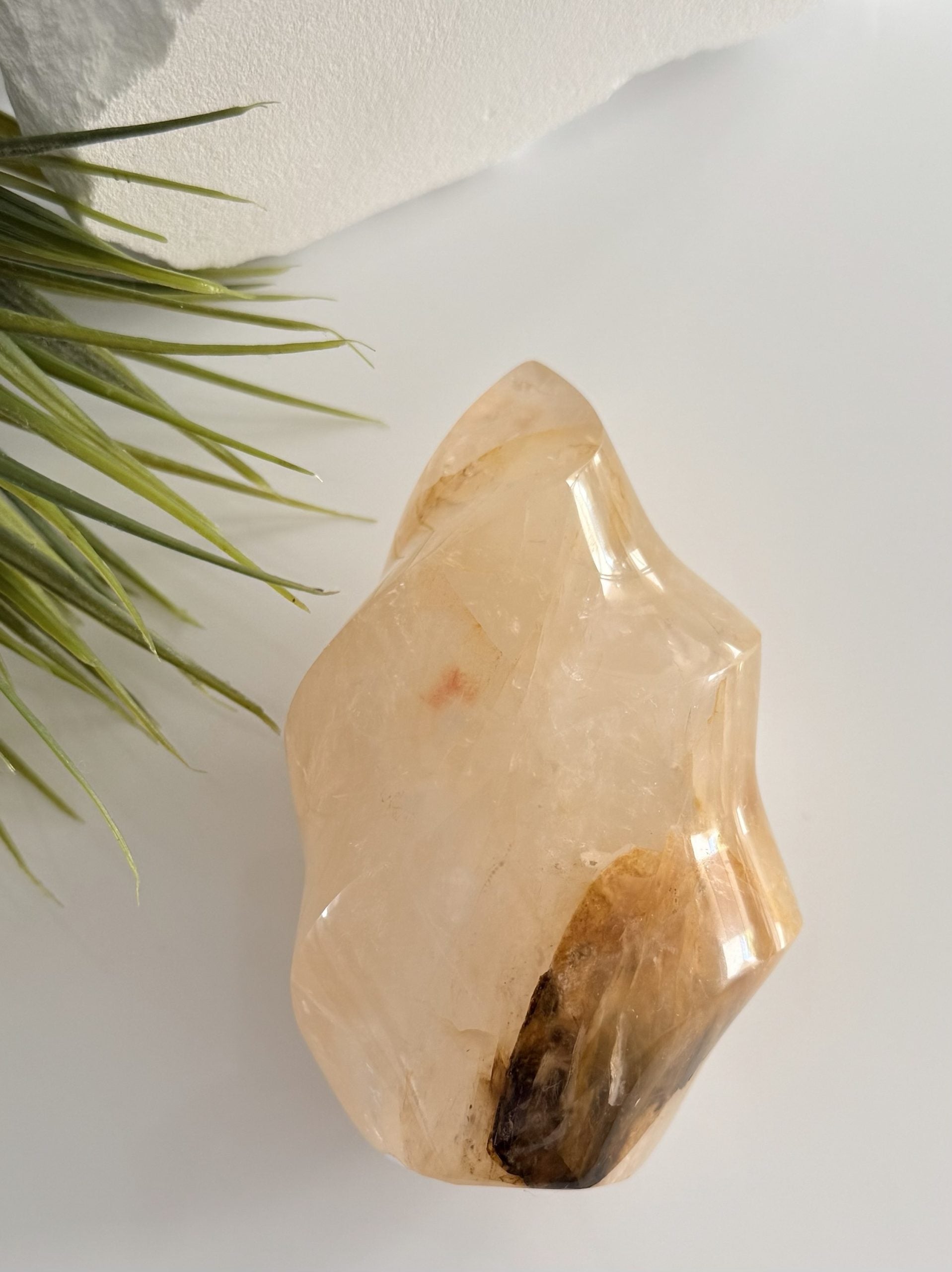 Lemurian ( Golden healer) vlam image 2