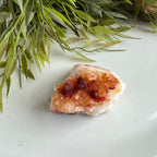Citrien image 1
