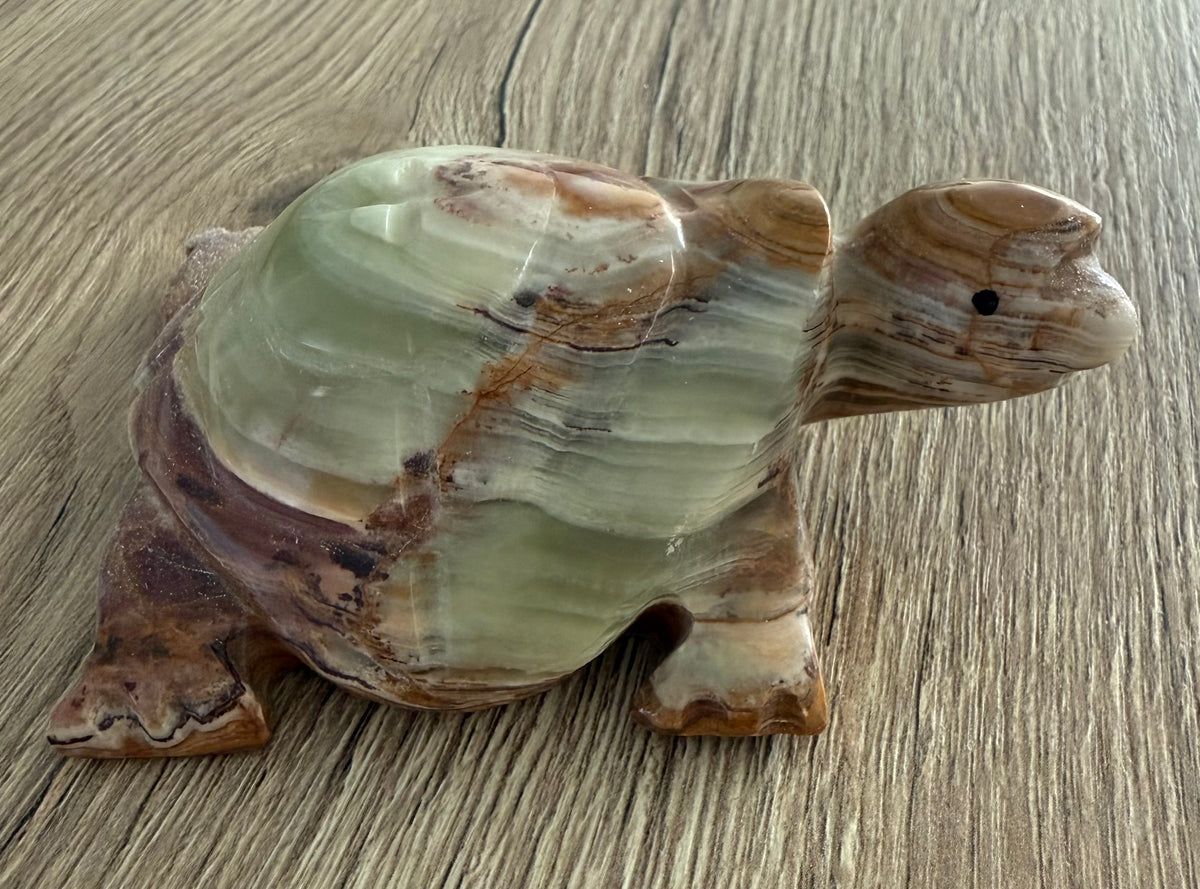 Handgesneden schildpad van Pakistaans onyxmarmer – gebandeerde calciet/aragoniet