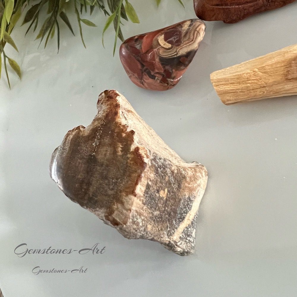 Versteend hout image 0