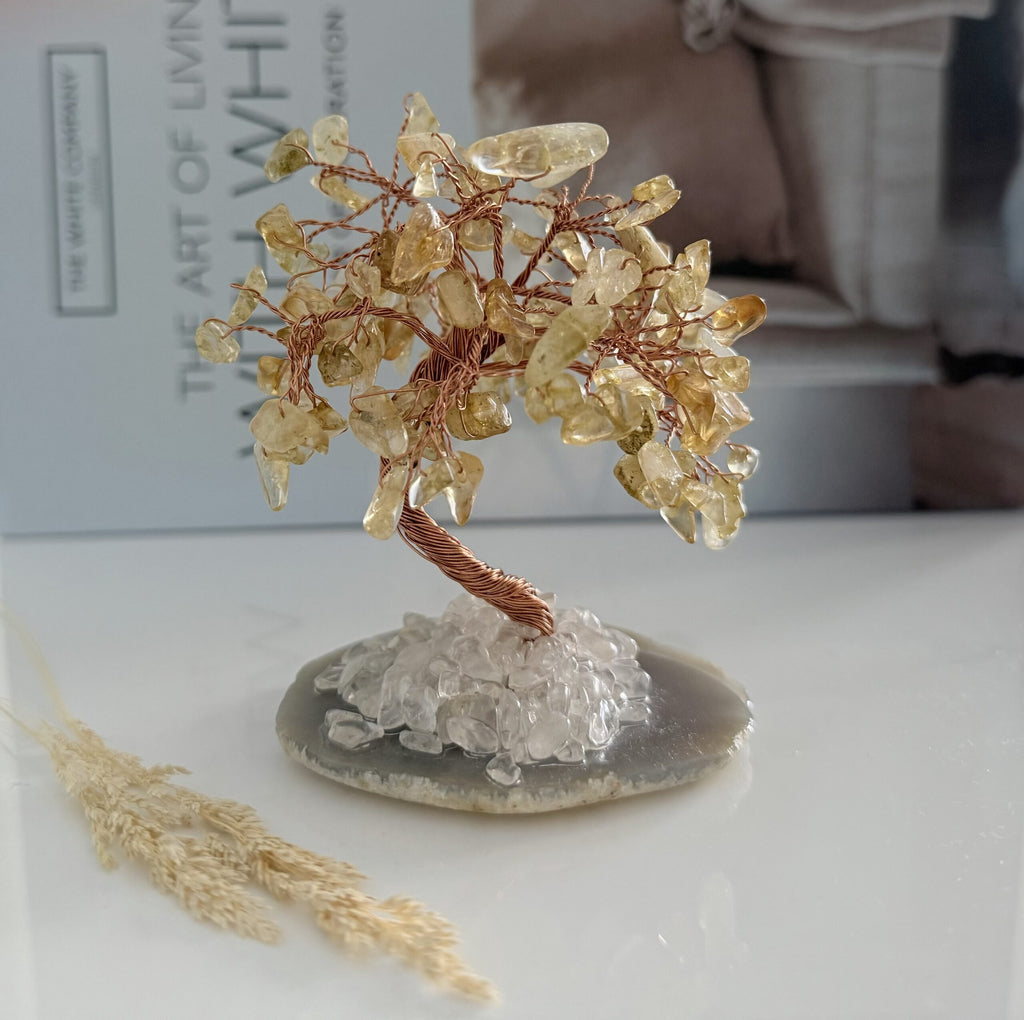 Citrienboompje met bergkristal image 0