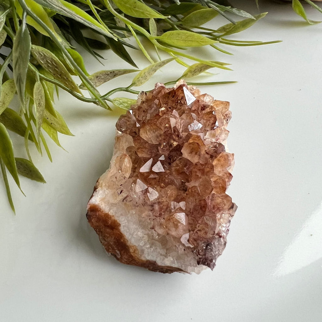 Citrien image 1
