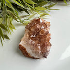 Citrien image 1