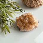 Citrien image 2