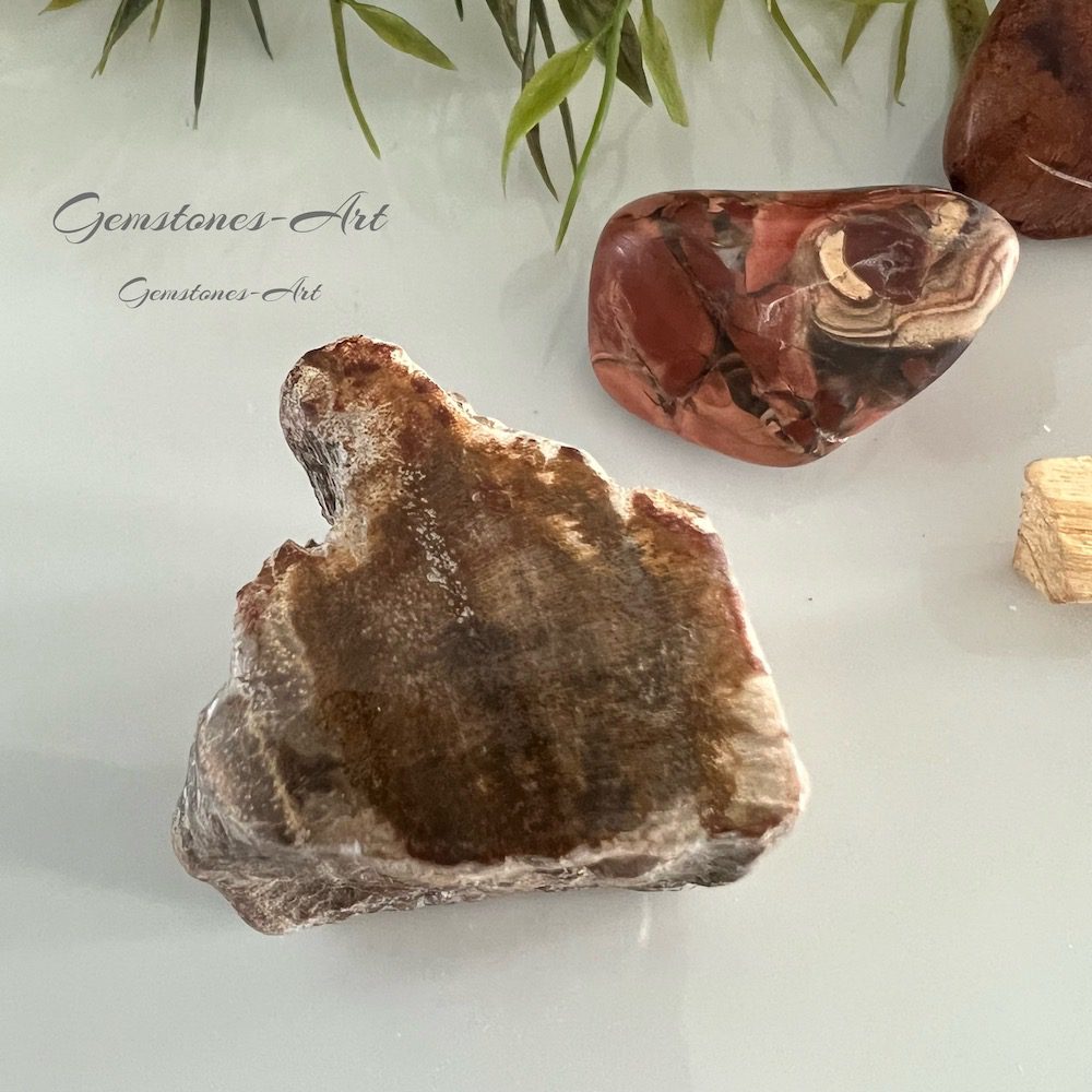 Versteend hout image 0