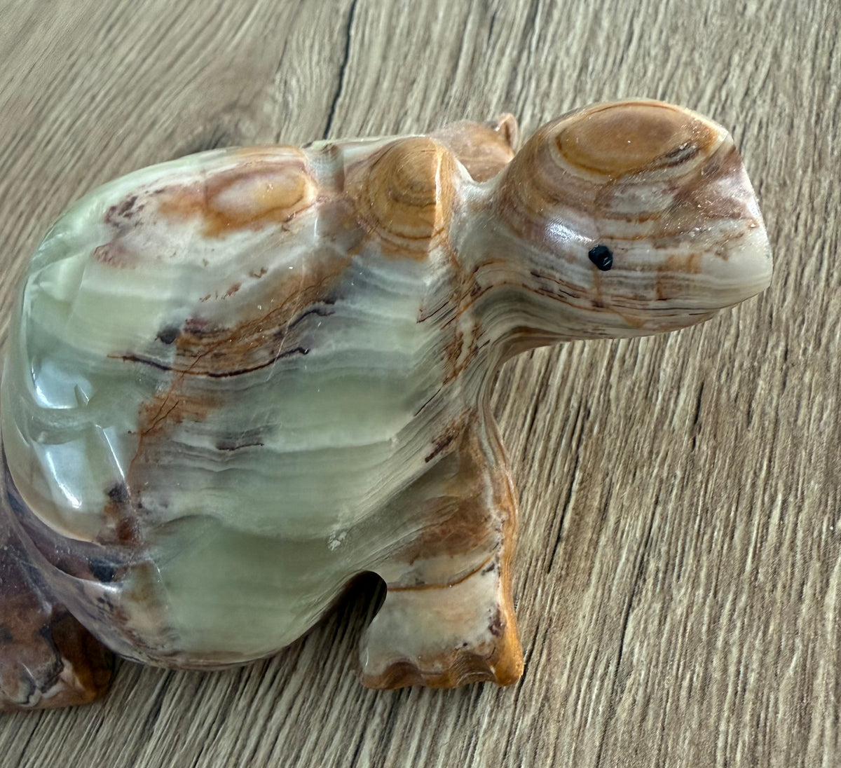 Handgesneden schildpad van Pakistaans onyxmarmer – gebandeerde calciet/aragoniet