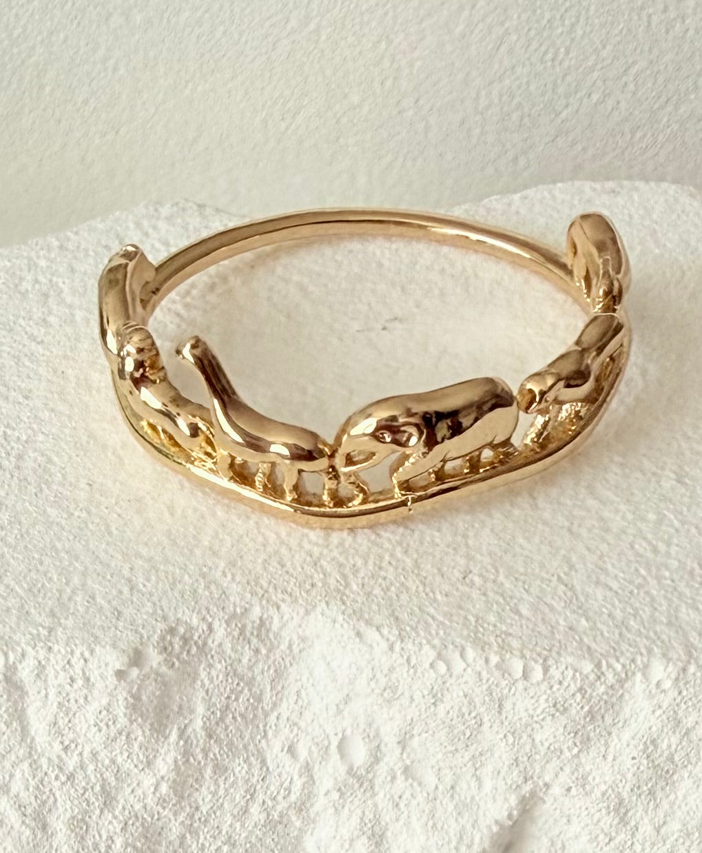 Dames ring Afrika