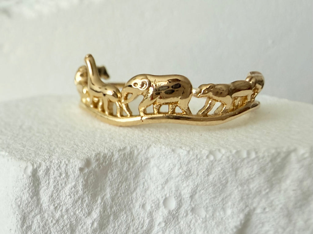 Women's ring Africa
