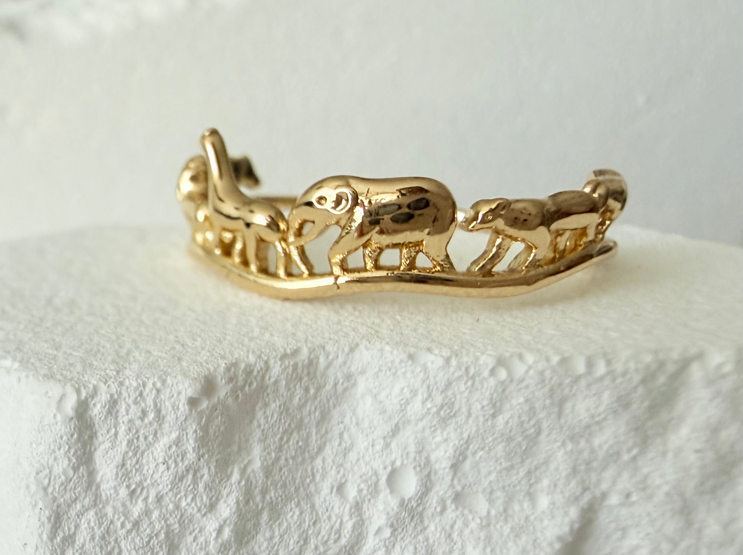 Dames ring Afrika