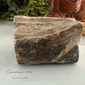 Versteend hout image 0