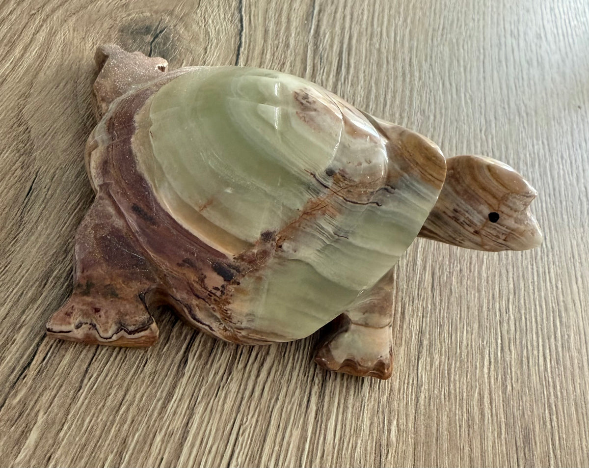 Handgesneden schildpad van Pakistaans onyxmarmer – gebandeerde calciet/aragoniet