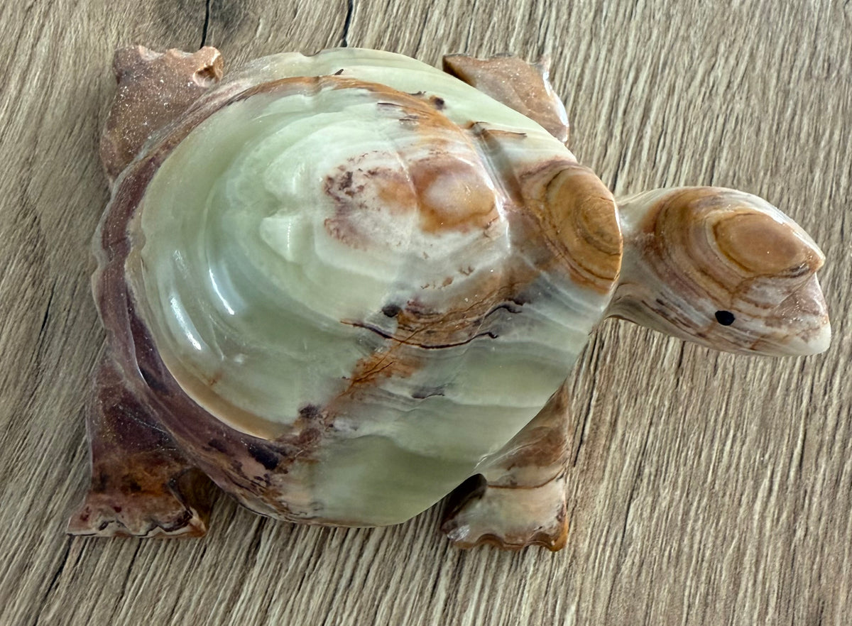 Handgesneden schildpad van Pakistaans onyxmarmer – gebandeerde calciet/aragoniet