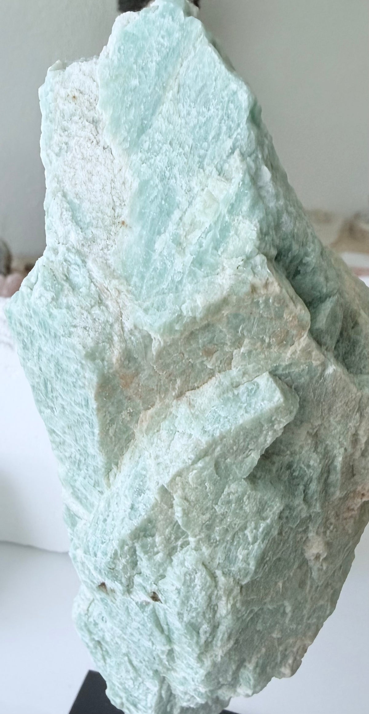 Amazoniet op standaard — een stukje natuur als kunstobject