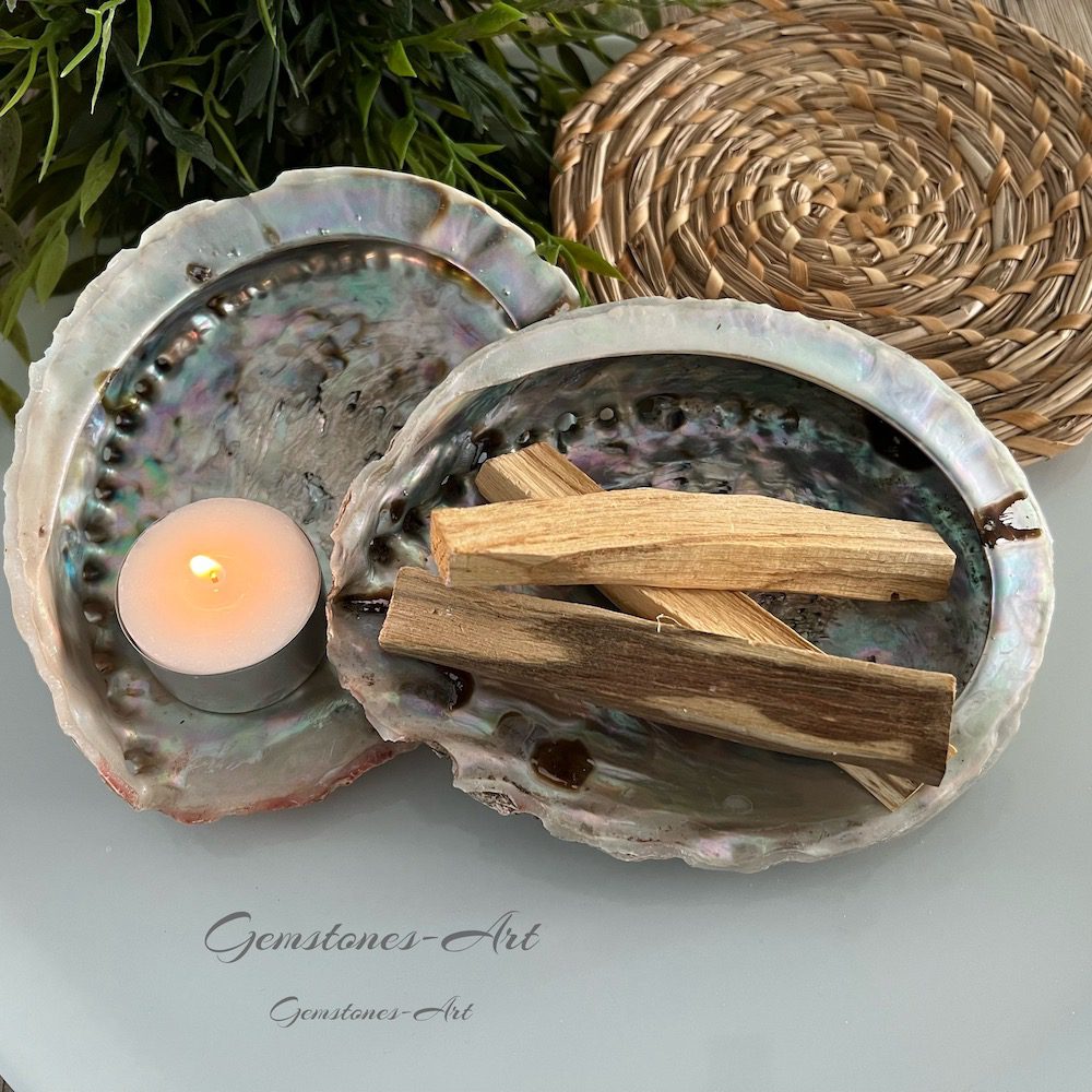 Abalone schelp (extra groot) image 0