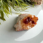 Citrien image 3