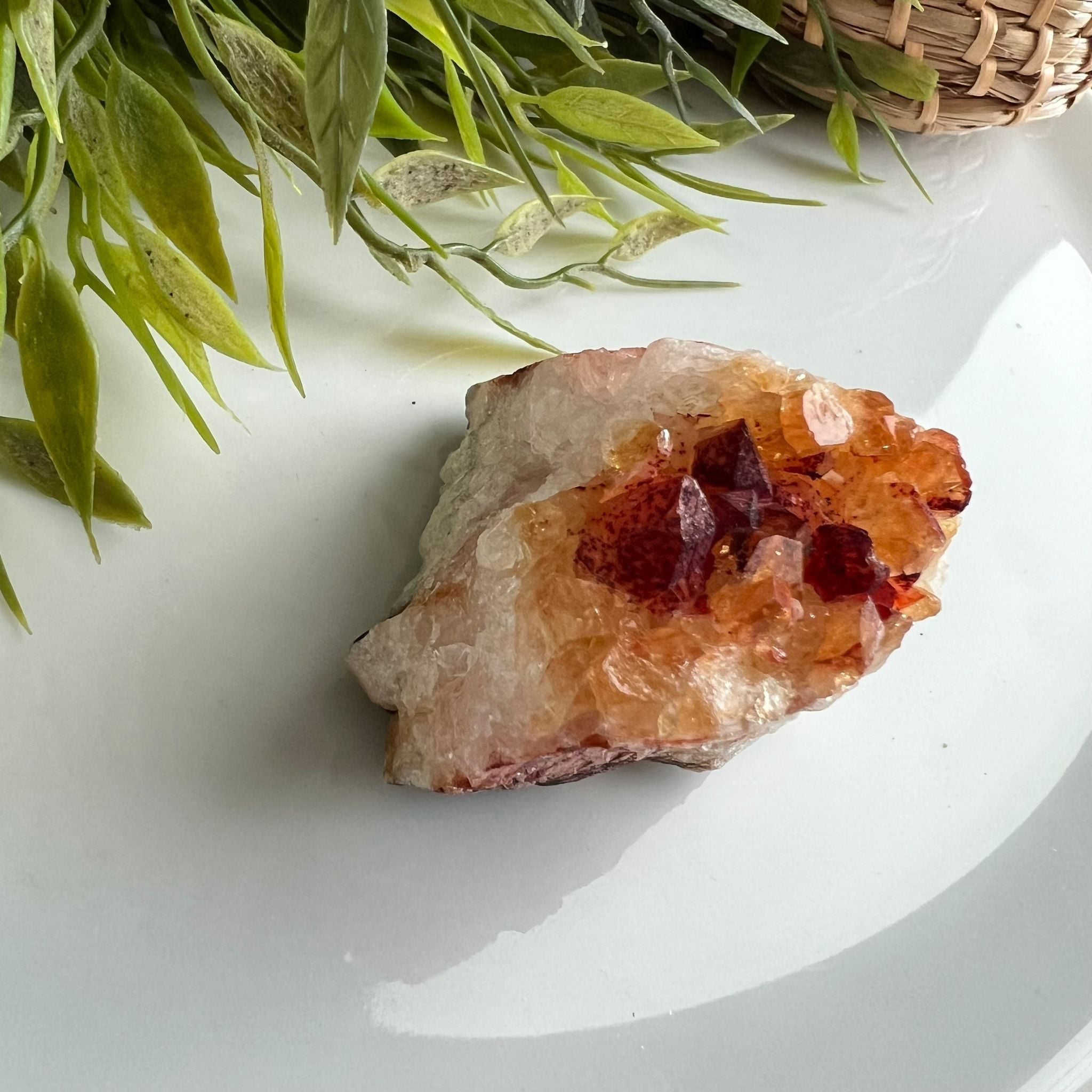 Citrien image 3