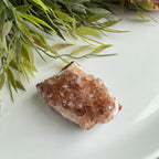 Citrien image 0