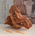 Woestijnroos - 535 gram image 0