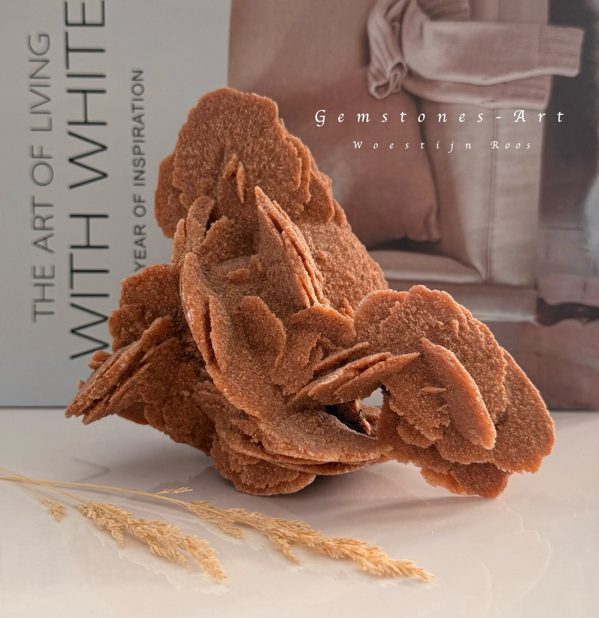 Woestijnroos - 535 gram image 0