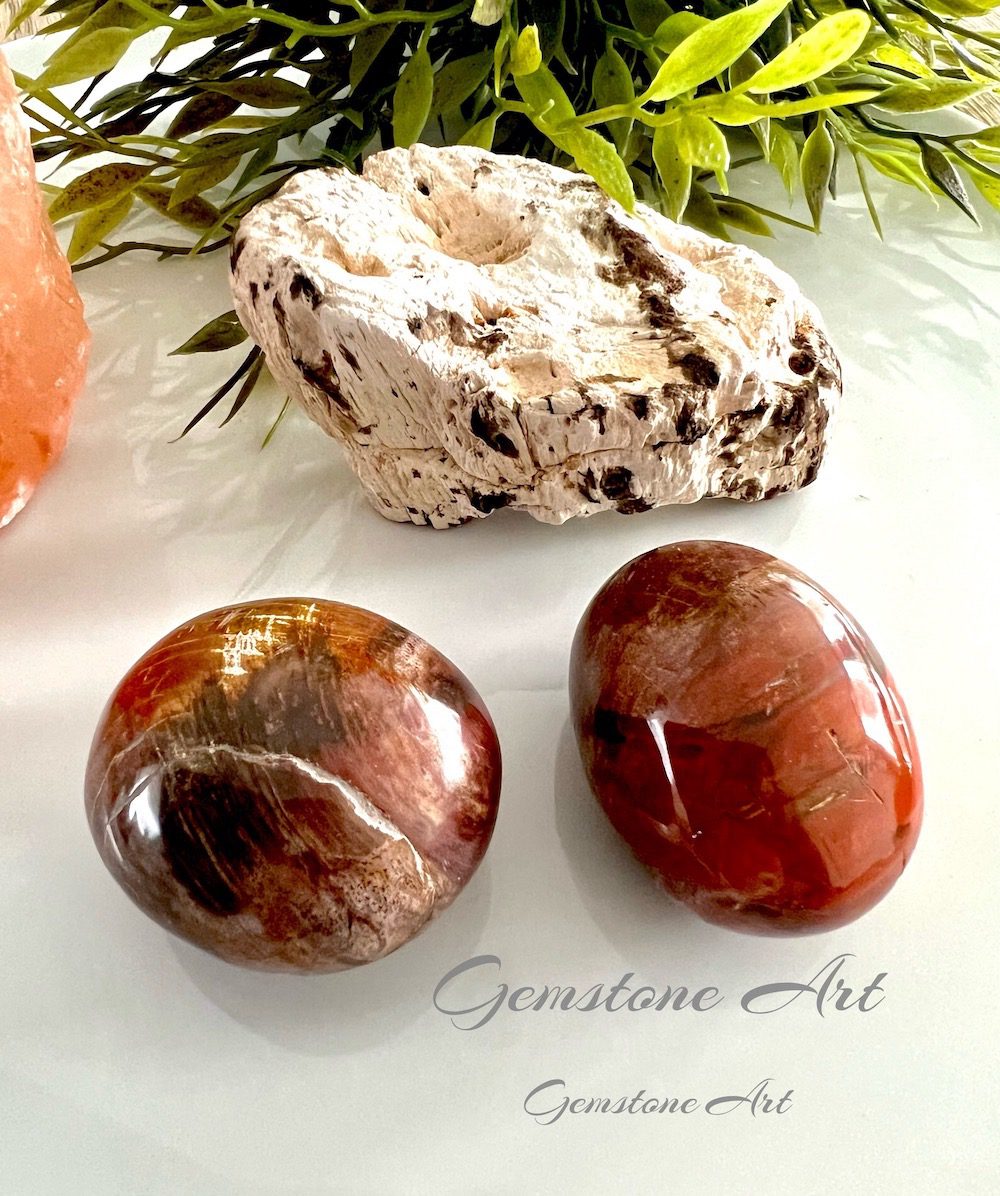 Versteend hout image 0