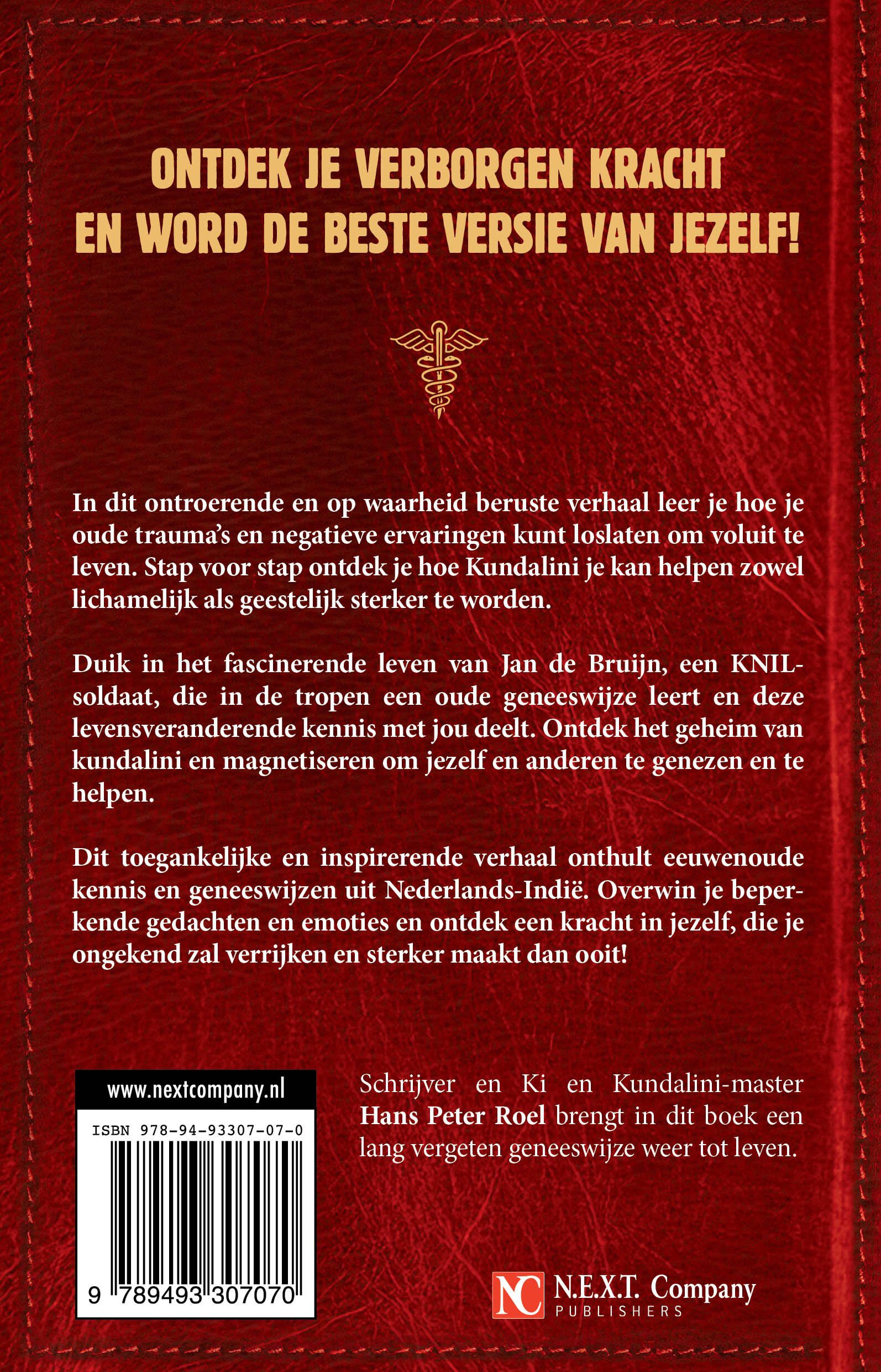 Genezende kracht Kundalini - Hans Peter Roel image 2