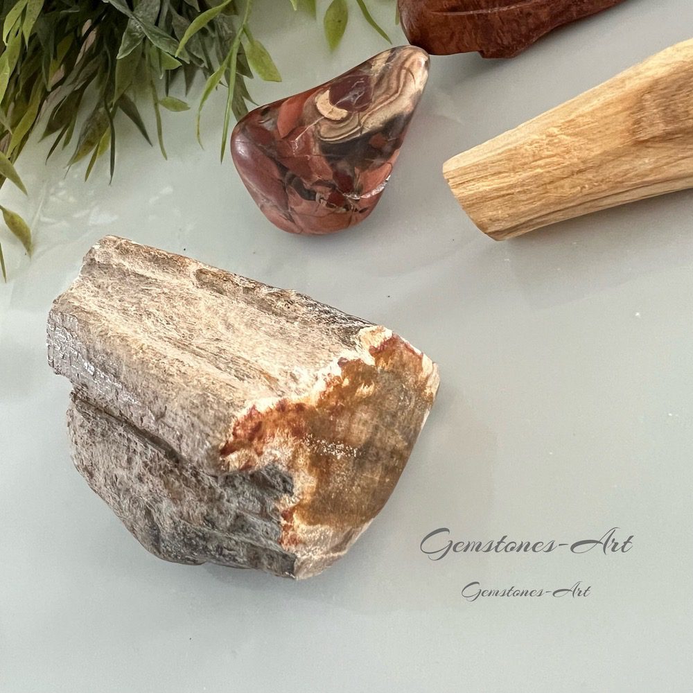 versteend hout image 0
