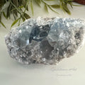 Celestien image 0