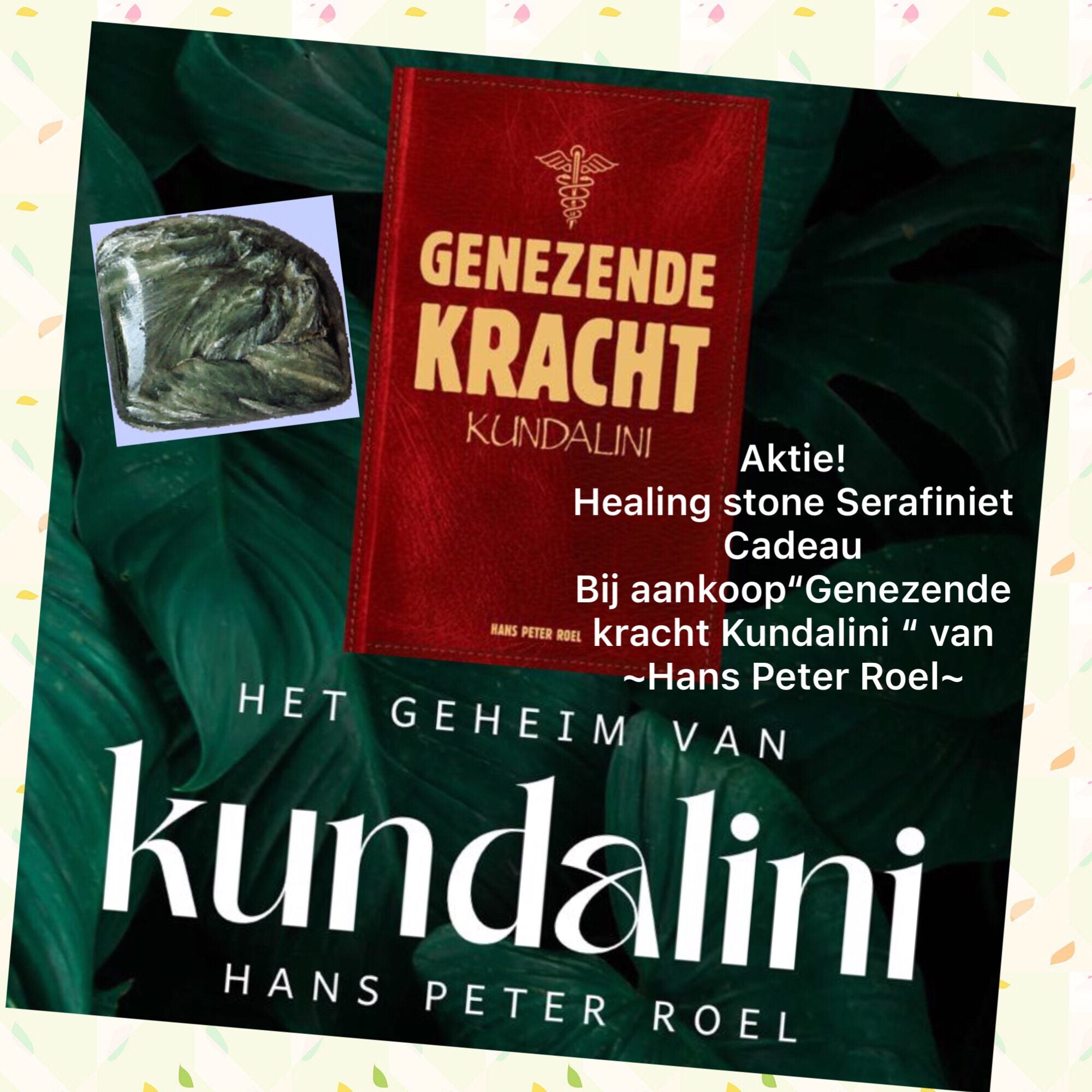 Genezende kracht Kundalini - Hans Peter Roel image 0