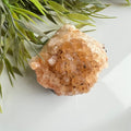 Citrien image 0