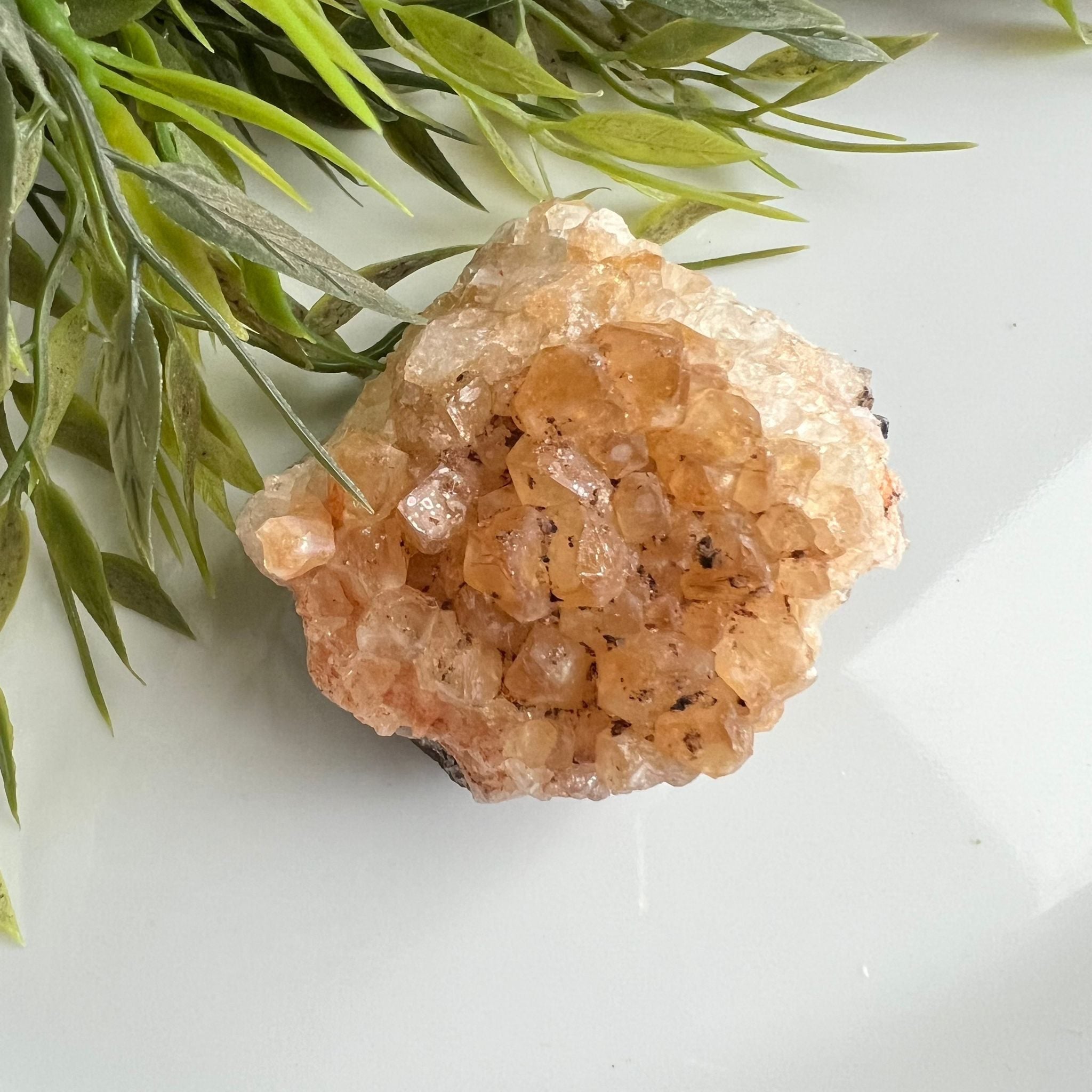 Citrien image 0