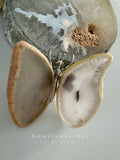 Agaat vlinder image 0