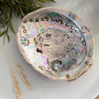 Abalone shell ( extra groot) image 1