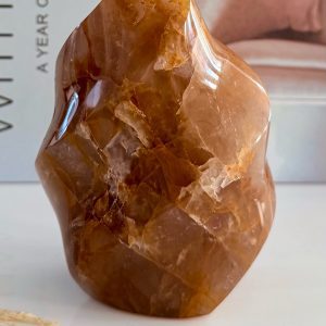 Golden Healer - 475 gram - lengte 11 cm